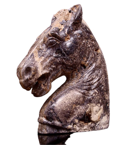 19th Century Sculpture Of Roman Horse Head Carved From Fossiliferous Limestone & Derbyshire Fluorspar