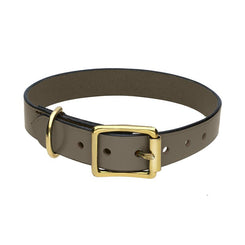 Chatsworth The Dog Brown English Leather Brass Buckle 2.5cm Collar G922