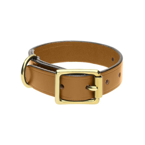 Chatsworth The Dog Gold English Leather Brass Buckle 2cm Collar G925