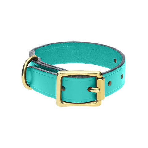 Chatsworth The Dog Turquoise English Leather Brass Buckle 2cm Collar G929