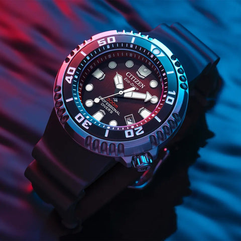 Citizen Promaster Diver Watch