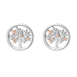 Clogau Tree of Life Sterling Silver Stud Earrings