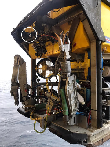 Elliot Brown Holton Automatic