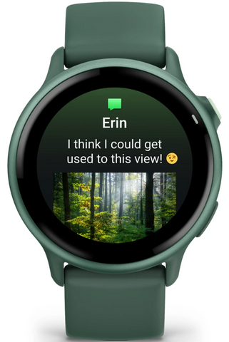 Garmin Vivoactive 6 Metallic Jasper Green Watch
