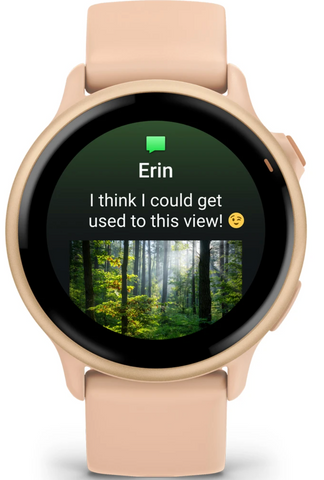 Garmin Vivoactive 6 Metallic Pink Dawn Watch