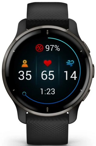 Garmin Watch Venu 2 Plus Slate