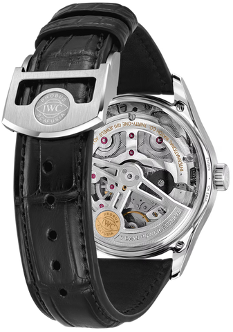 IWC Portugieser Automatic 42 Dune Watch
