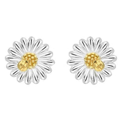Sterling Silver Yellow Gold Vermeil Daisy Stud Earrings, E2478.