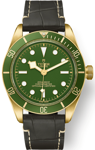 TUDOR Watch Black Bay 58 18K M79018V-0001