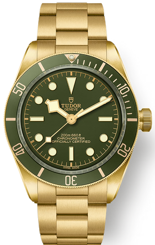 TUDOR Watch Black Bay 58 18k M79018V-0006