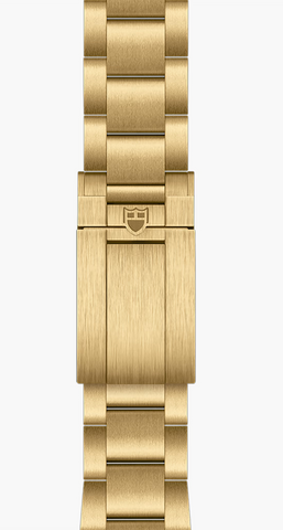 TUDOR Black Bay 58 18k Watch