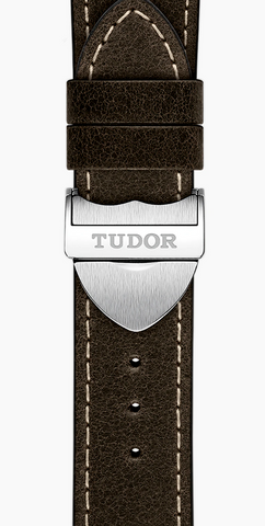 TUDOR Black Bay GMT S&G Watch