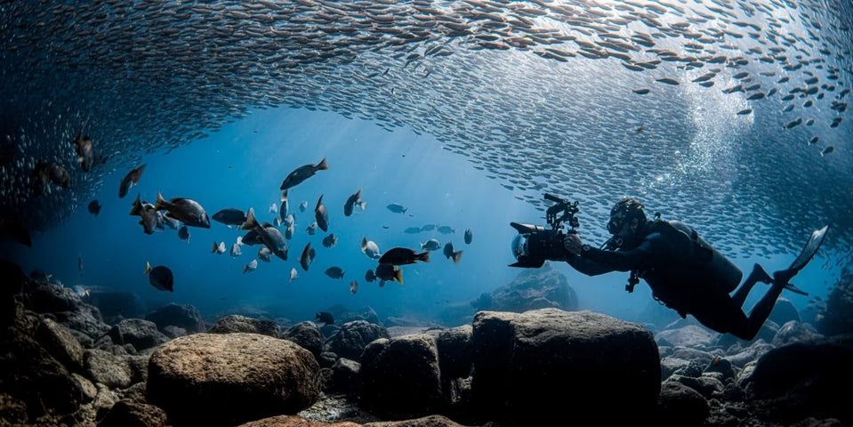 Zodiac Super Sea Wolf Pro Diver GMT Limited Edition Watch