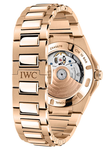 IWC Ingenieur Automatic 35 Watch