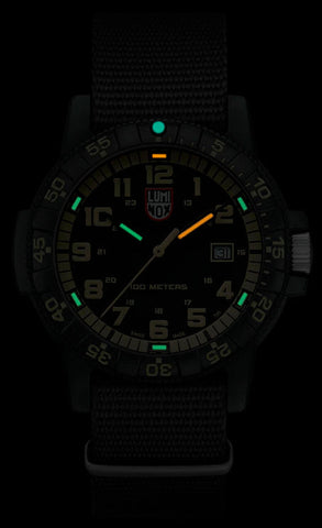 Luminox Leatherback Sea Turtle Giant 0320 Series Watch XS.0333 - detail view