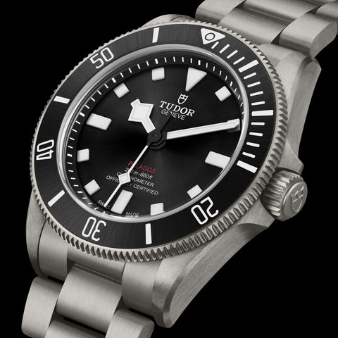 TUDOR Pelagos 39 Watch