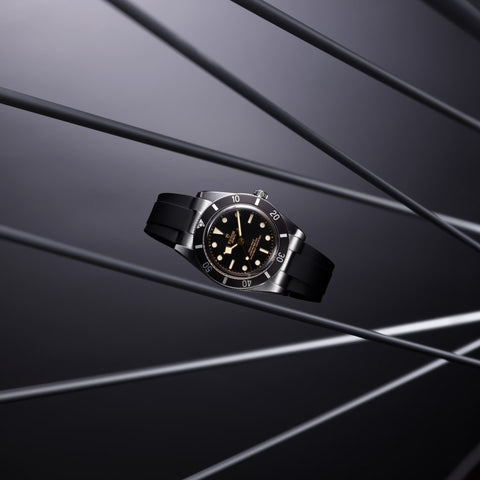 TUDOR Black Bay 54 Watch