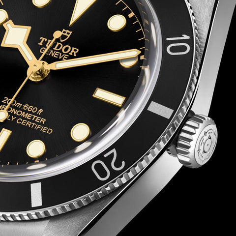 TUDOR Black Bay 54 Watch