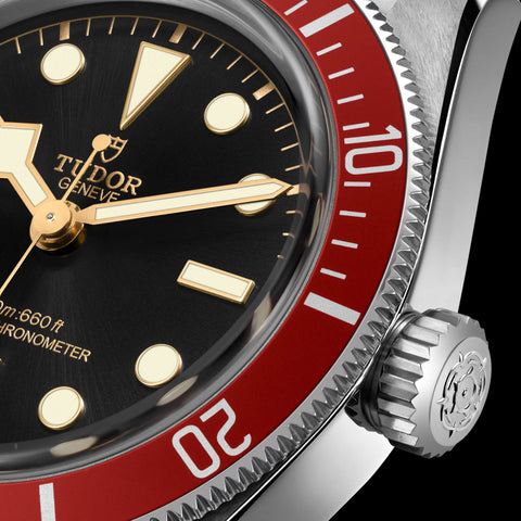 TUDOR Black Bay Burgundy Master Chronometer Watch