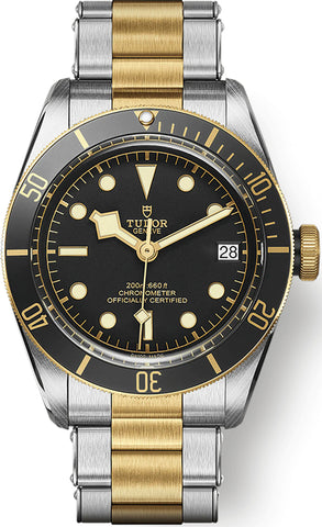 TUDOR Watch Black Bay S&G M79733N-0008
