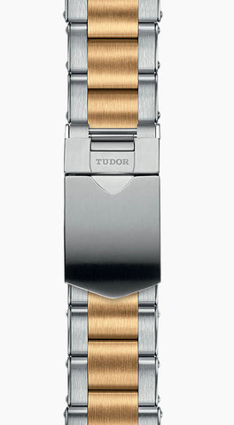 TUDOR Black Bay S&G Watch