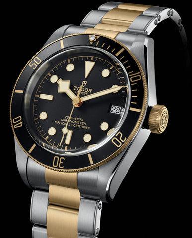 TUDOR Black Bay S&G Watch
