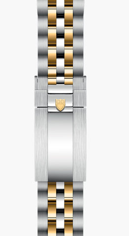 TUDOR Black Bay One 36 S&G Watch