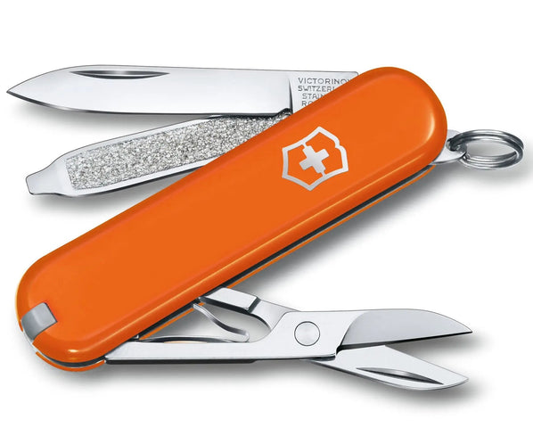 Victorinox Small Pocket Knife Classic SD Mango Tango 0622383G