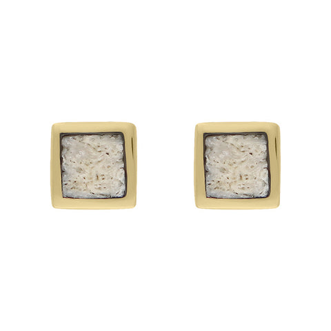 18ct Yellow Gold Coquina Dinky Square Stud Earrings, E034
