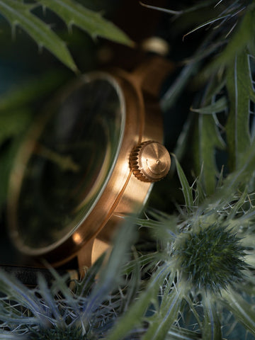 Meistersinger Watch Perigraph Bronze Line