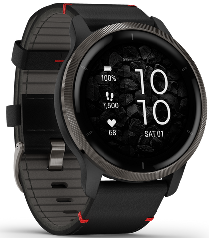 Garmin Venu 2 Slate Watch