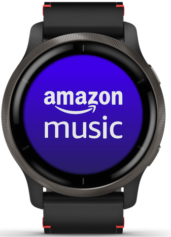 Garmin Venu 2 Slate Watch