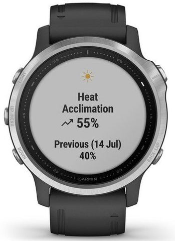 Garmin Watch Fenix 6S Silver With Black Band