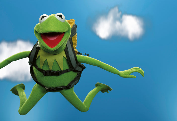 Oris ProPilot x Kermit Edition Watch