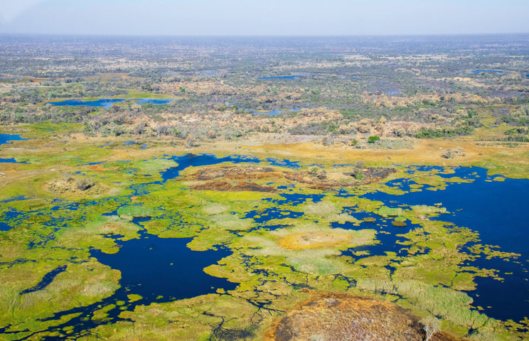 Oris Big Crown ProPilot Okavango Air Rescue Limited Edition