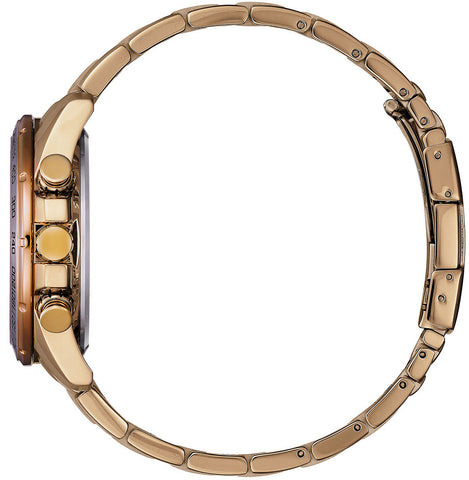 Citizen Promaster Perpetual Chrono A.T Eco Drive Mens Watch