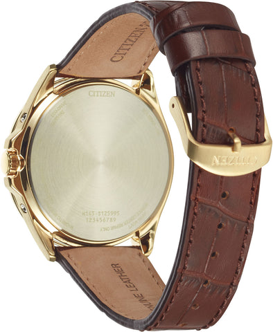 Citizen World Time A.T Eco Drive Mens