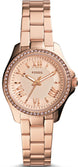 Fossil Watch Cecile Ladies AM4578