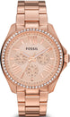 Fossil Watch Cecile Ladies AM4483