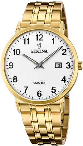 Festina Watch Two Hands Date Mens F20513/1