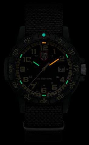 Luminox Leatherback Sea Turtle Giant 0320 Series Watch