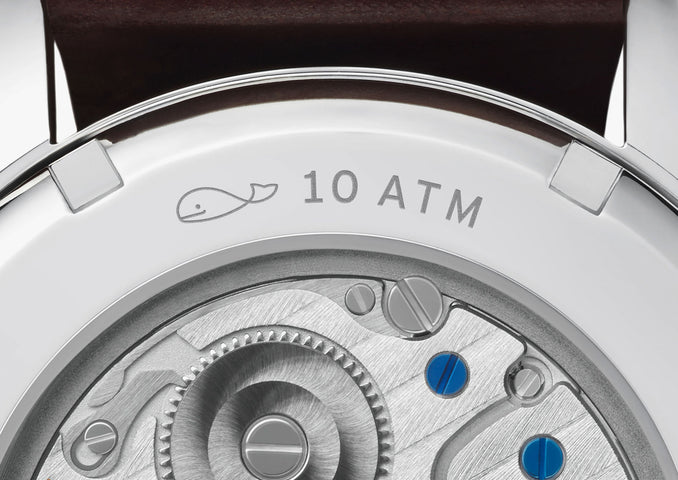 Nomos Glashutte Watch Club Steel Back