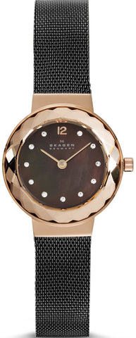 Skagen Watch Leonora Ladies 456SRM
