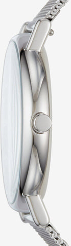 Skagen Watch Signatur Mens