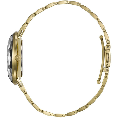 Storm Watch Elexi Gold Black