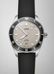 Oris Divers Date Watch