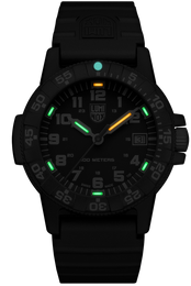 Luminox Sea Turtle 0300 Series Watch XS.0301 - luminous dial view