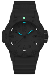 Luminox Sea Turtle 0300 Series Watch XS.0307.WO - luminous dial view