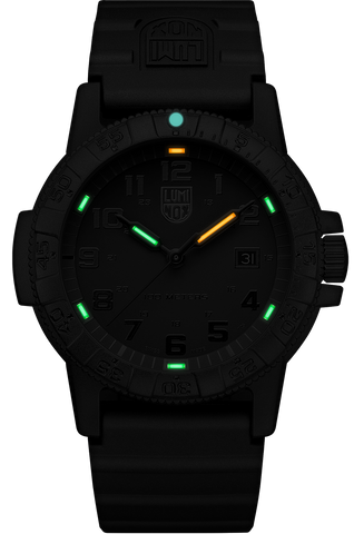 Luminox Sea Turtle Giant 0320 Series Watch XS.0321.BO - luminous dial view