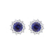 18ct White Gold Sapphire Diamond Round Cluster Stud Earrings FEU-2824
